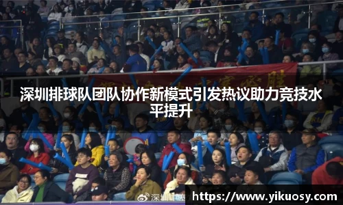 深圳排球队团队协作新模式引发热议助力竞技水平提升